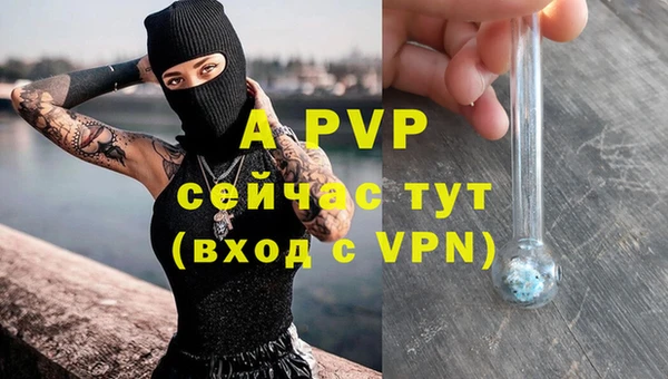 скорость Ладушкин
