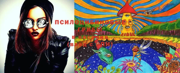 PSILOCYBIN Балахна